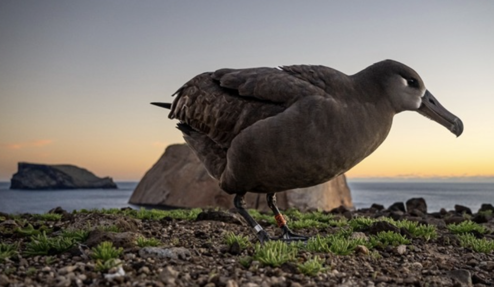 Screenshot_20240217-182643