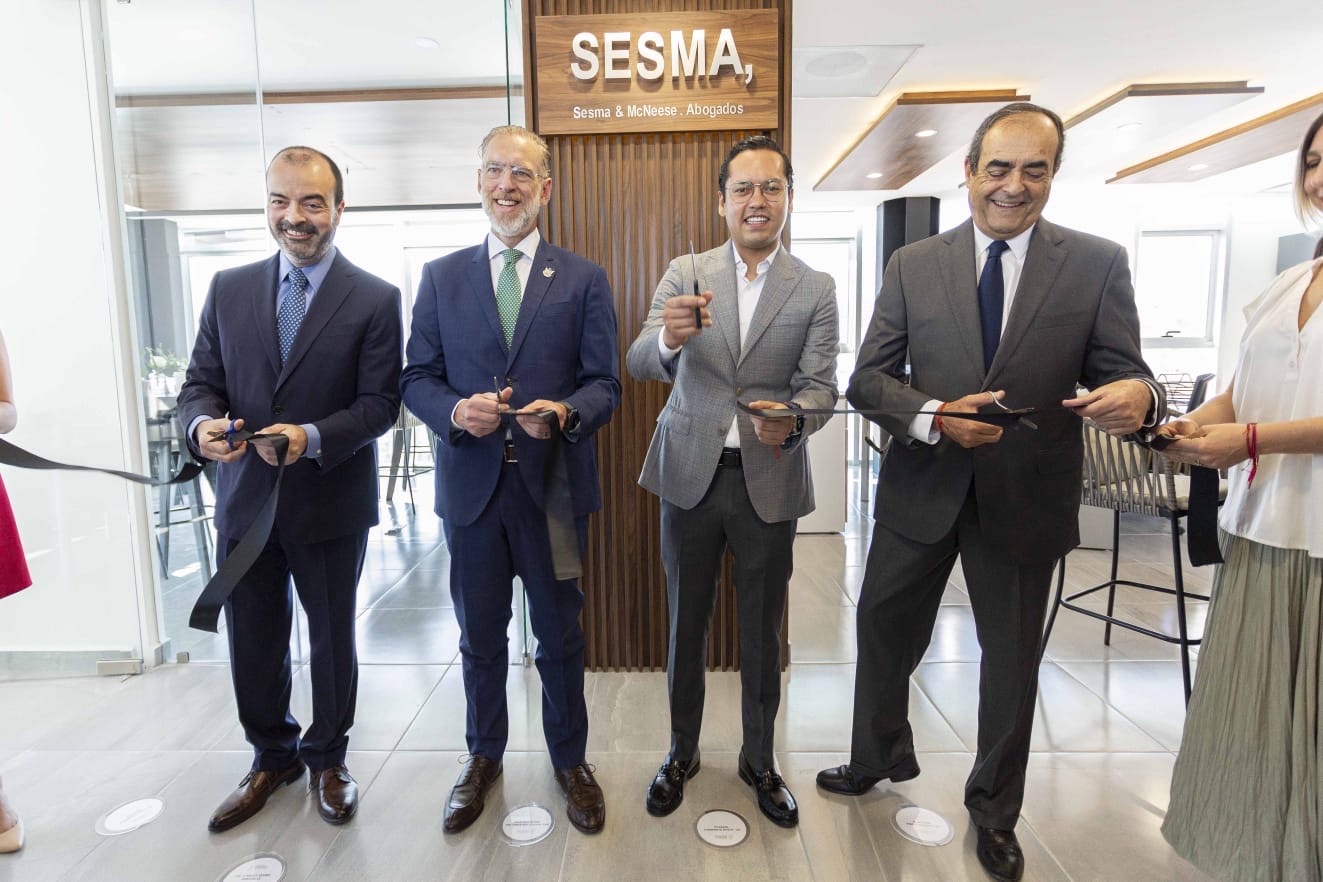 19fb9398-d444-469f-aafe-6f4e7944de14