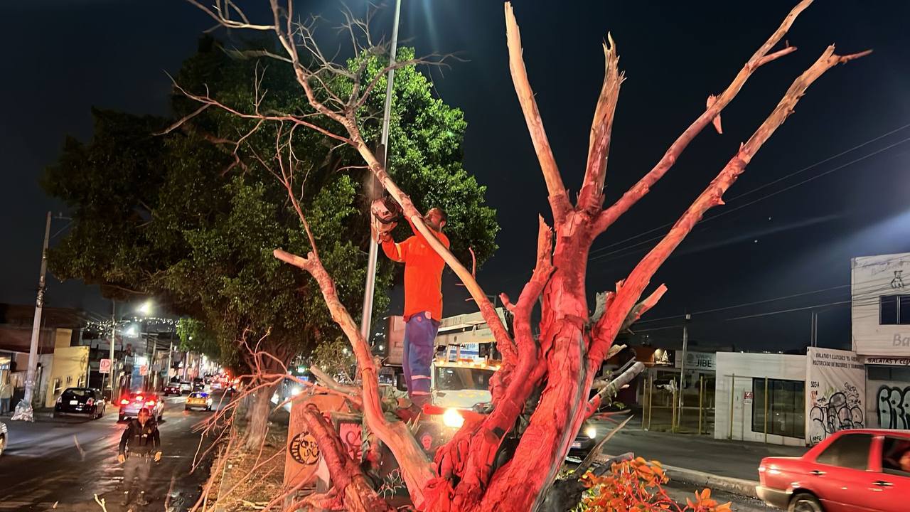 df6b9c25-7f4c-4949-bfa9-dad5fa211047