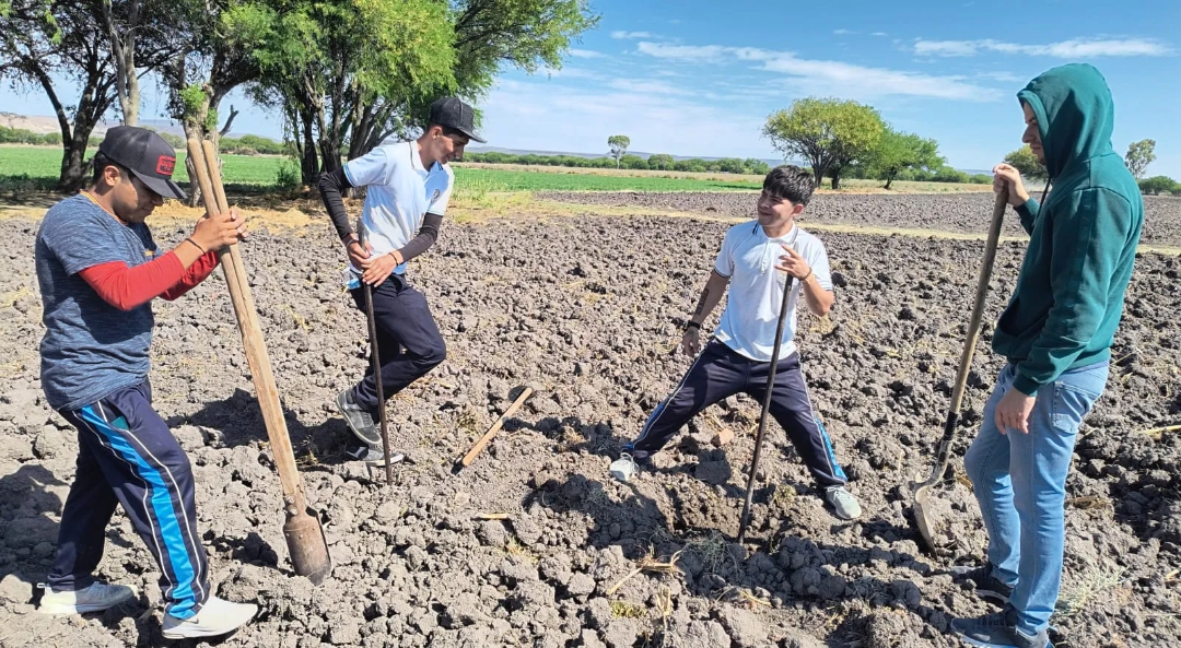 Screenshot_2024-08-07-11-10-04-42_40deb401b9ffe8e1df2f1cc5ba480b12