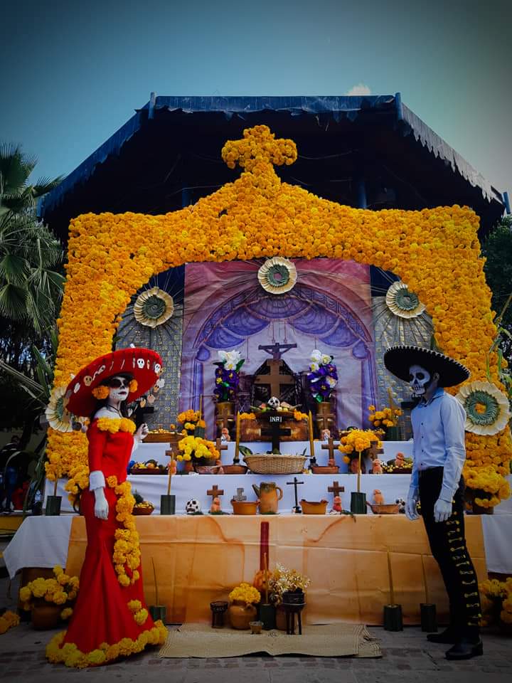 FB_IMG_1729735183114