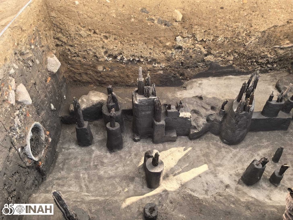 Muestras de los maderos del muelle.