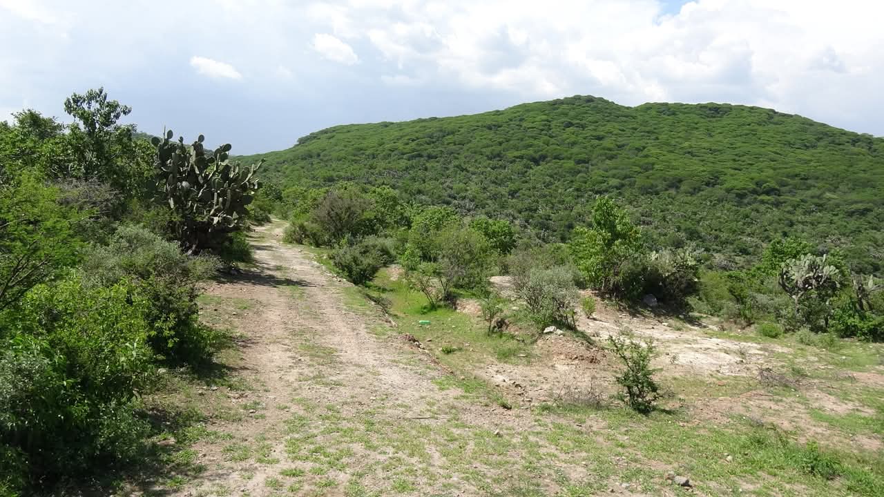 FB_IMG_1736445472194