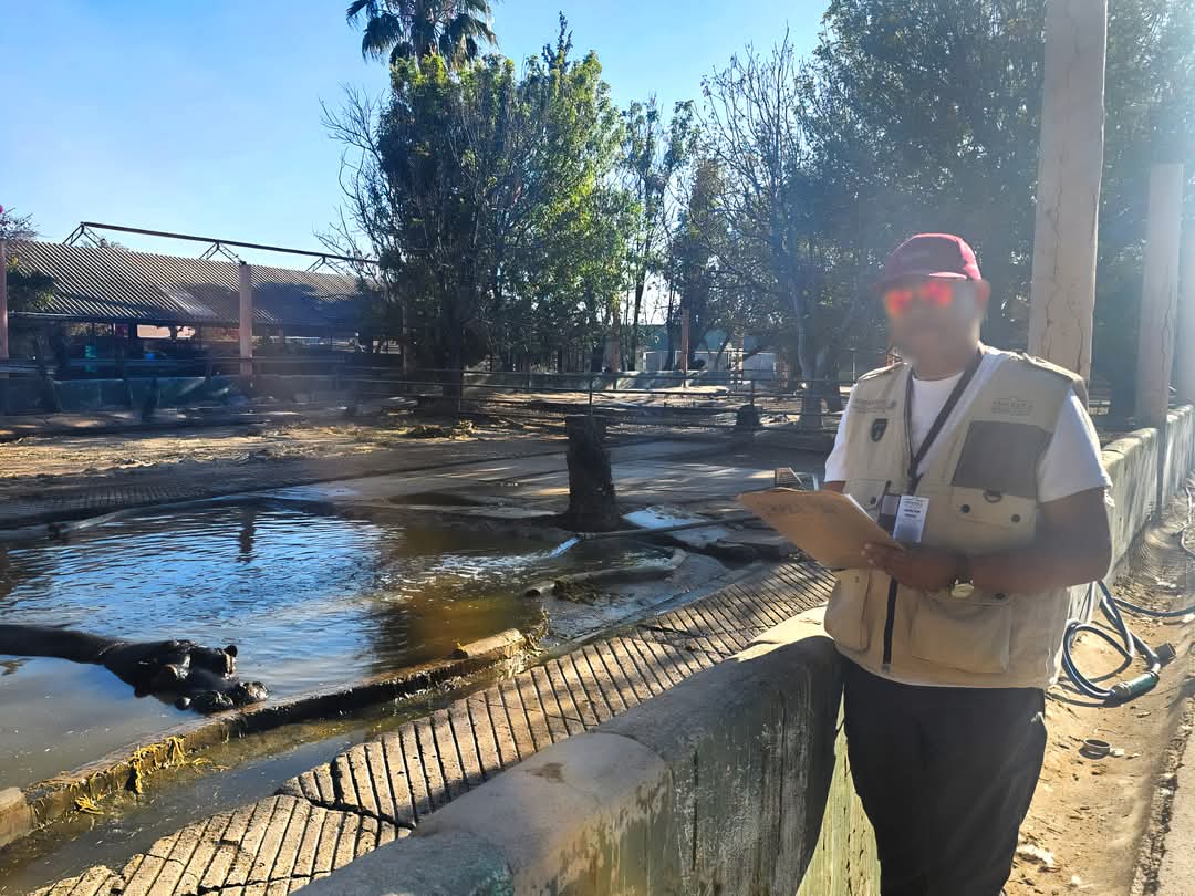 FB_IMG_1738981569495