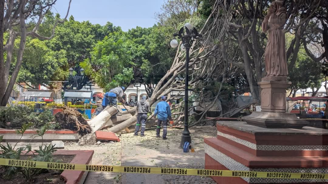 FB_IMG_1742517585277