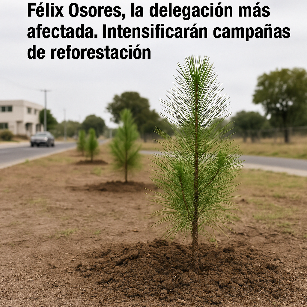 815059CA-C682-4B6C-A7FD-0D5670319D54