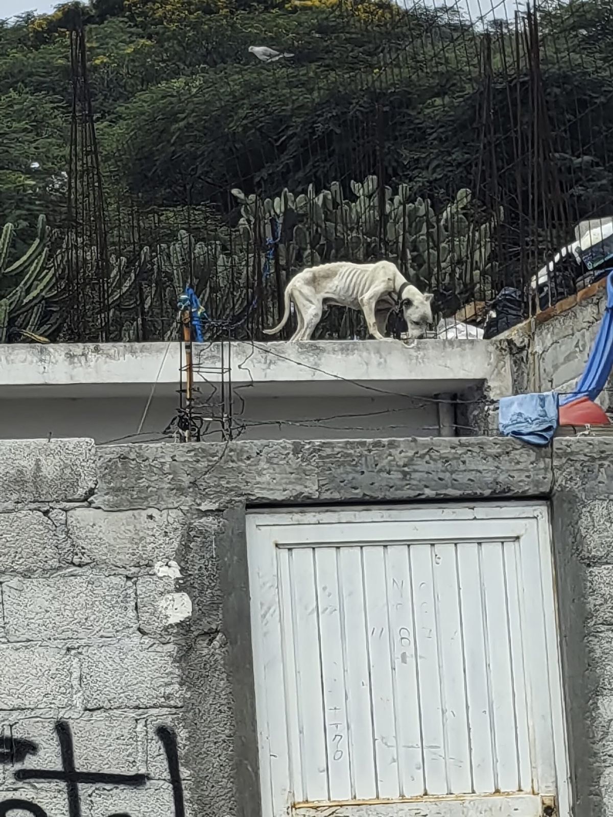 6339a8e0-40e5-4f8f-b02e-e5e8c7ef4737