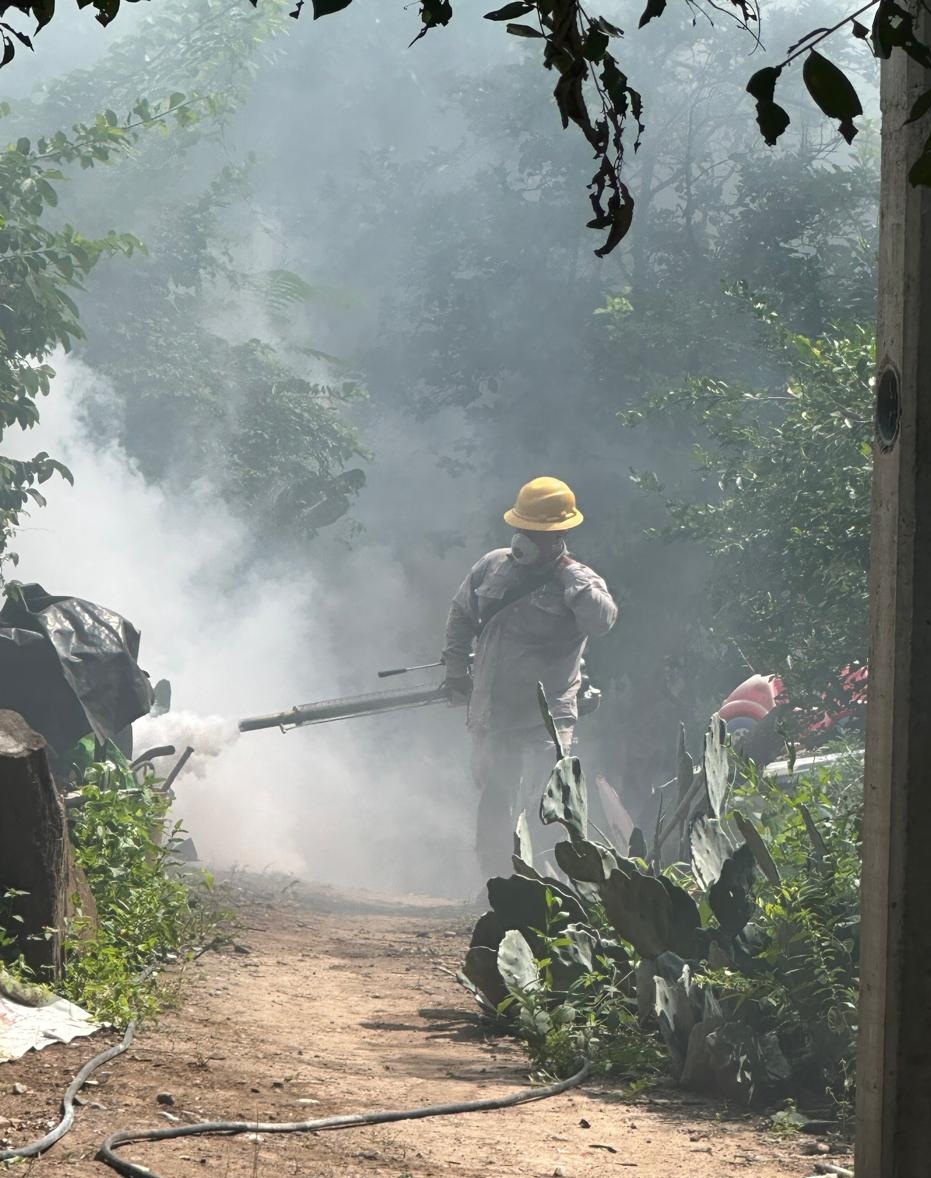 71_273_49655_835731722_1_0111_SESA_VIGILANCIA_(1)