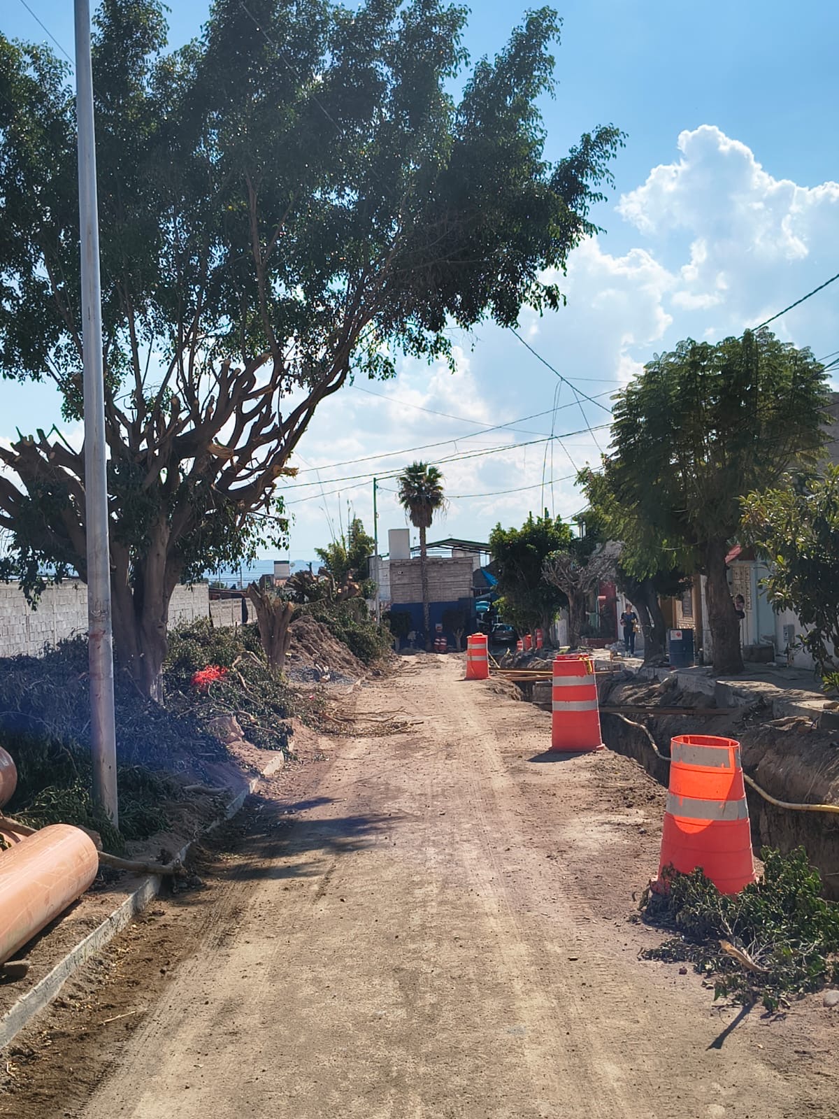 18956e29-b6d8-465e-9e18-49db874fa845