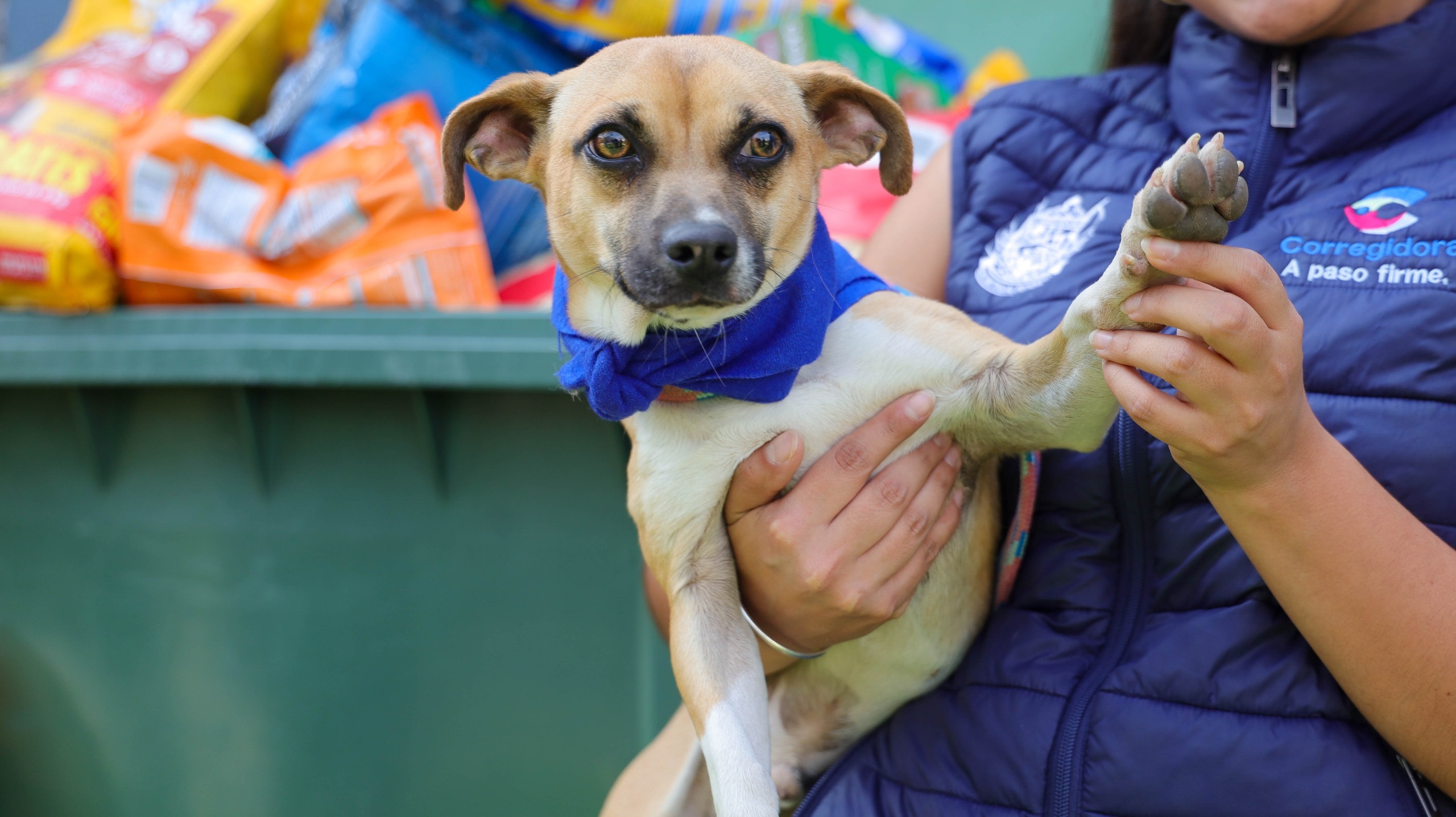 d2959cd4-5802-405b-92cb-d0d50be84d0b