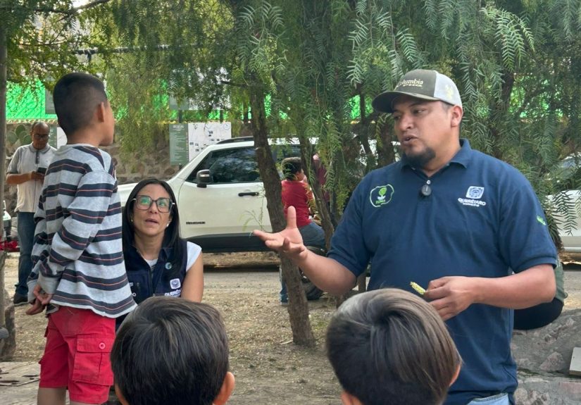 20f90fd4-5f24-4891-a26d-edfebfea082d