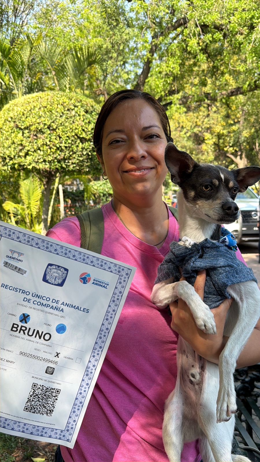 4377f8e2-6563-425a-b922-4f3c3fab56fc