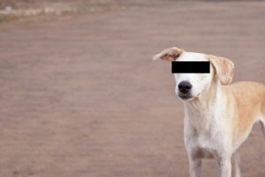 FE47FE9D-7D84-4E11-ADCE-8386EF2CB672