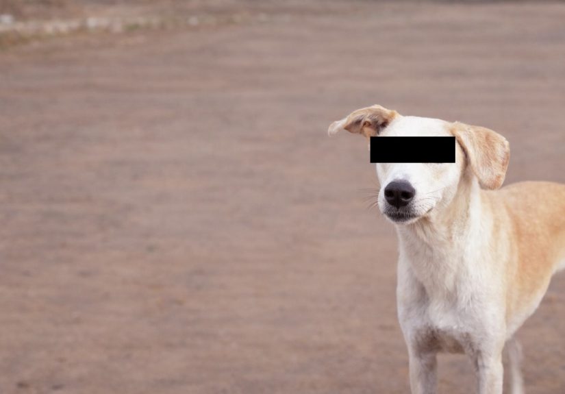 FE47FE9D-7D84-4E11-ADCE-8386EF2CB672