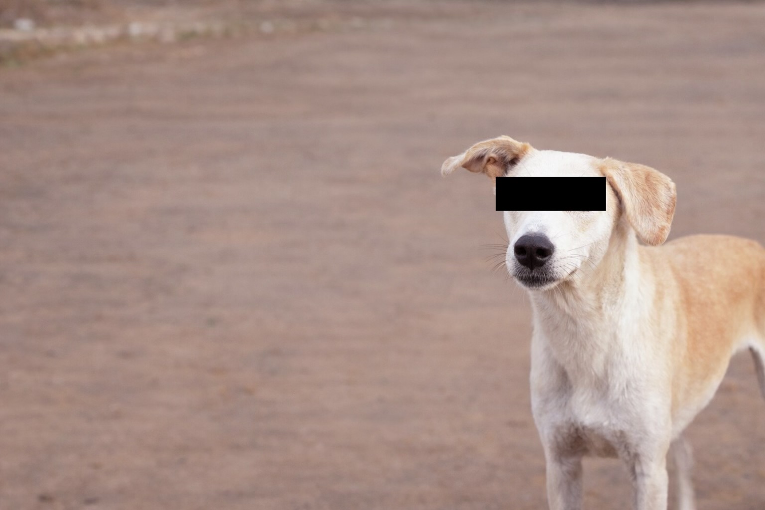 FE47FE9D-7D84-4E11-ADCE-8386EF2CB672