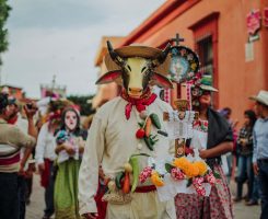 c8be2d2e-43bc-429a-baa4-eda6afb25652