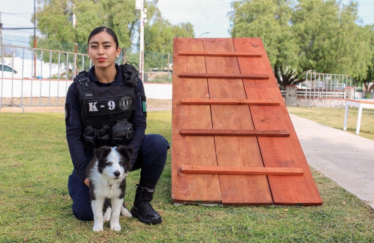 Más de 100 familias participan en Curso Básico de Adiestramiento Canino de la SSPM Corregidora