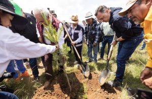 Participa Querétaro en la Jornada Nacional de Reforestación en Amealco se plantaron más de dos mil 600 árboles