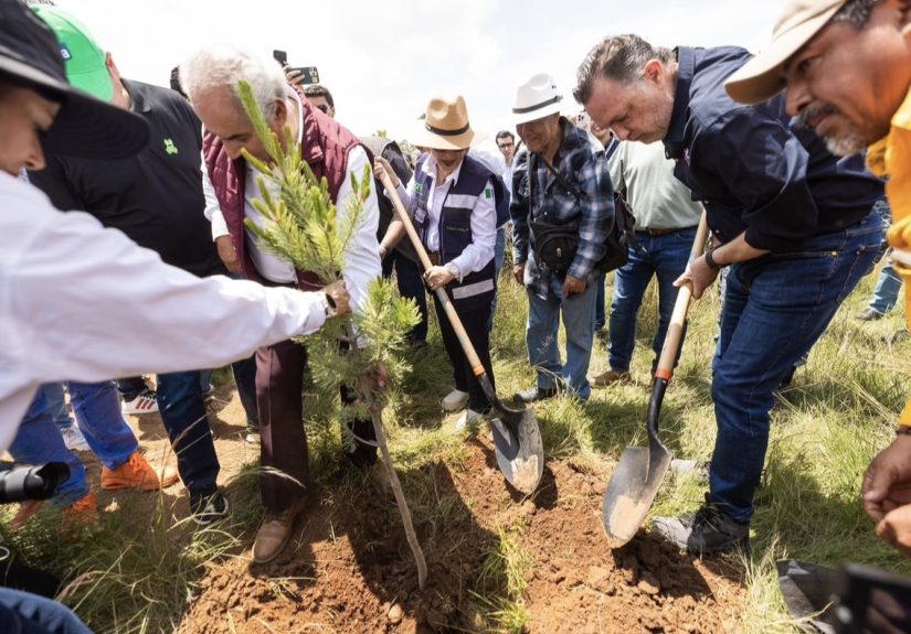 Participa Querétaro en la Jornada Nacional de Reforestación en Amealco se plantaron más de dos mil 600 árboles