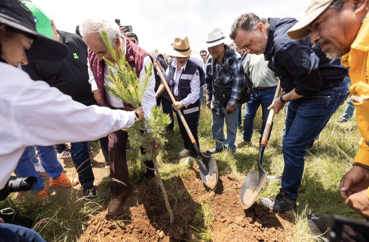 Participa Querétaro en la Jornada Nacional de Reforestación en Amealco se plantaron más de dos mil 600 árboles