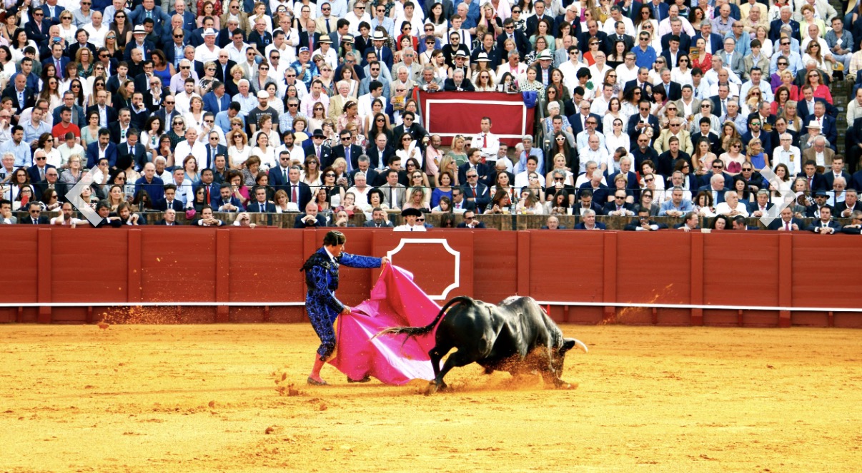Provincia Juriquilla cancela corrida de Fiestas Patrias; asegura que, de acatar las limitaciones impuestas por un juez, “ya no respondería a lo que esta tradición representa”