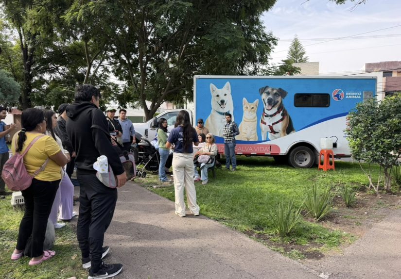 Bienestar Animal realiza más de 17 mil esterilizaciones gratuitas y 13 mil vacunas en el municipio de Querétaro