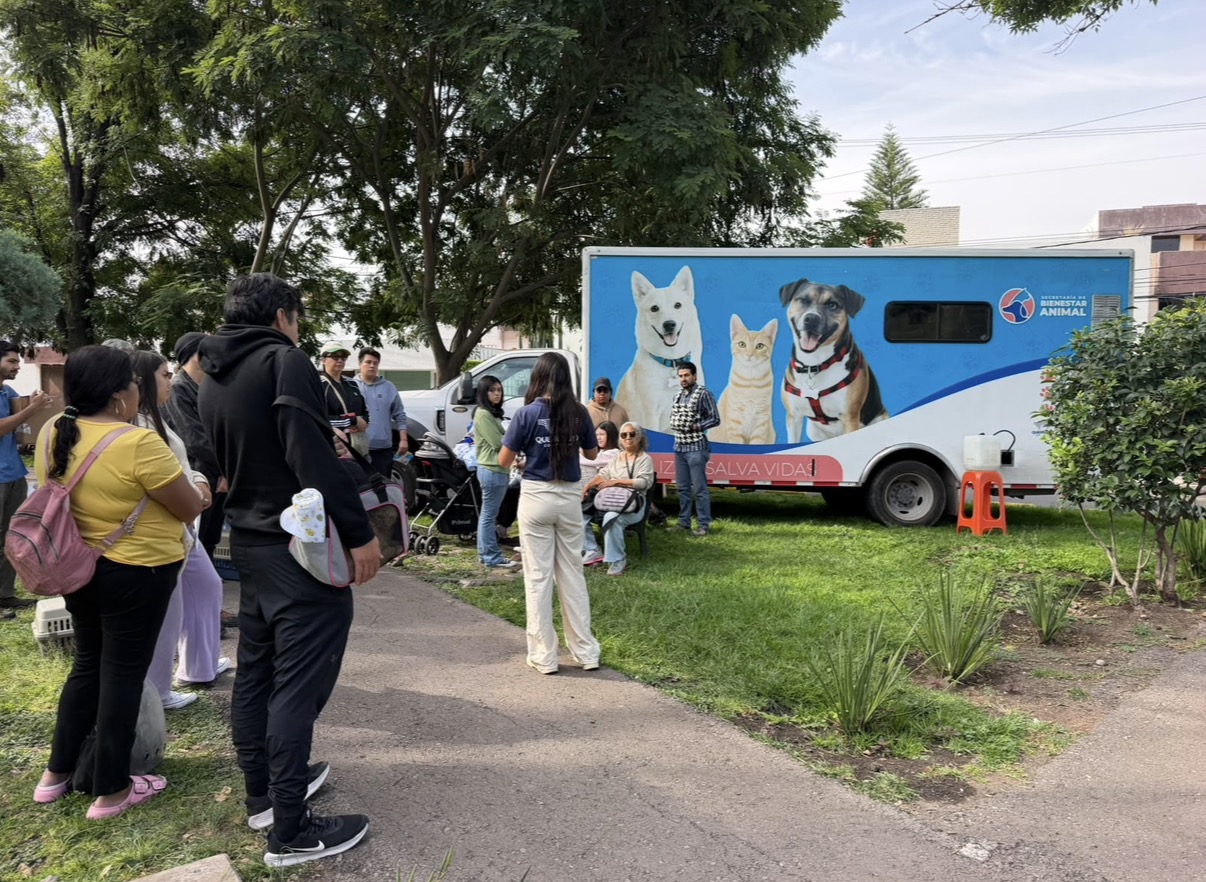 Bienestar Animal realiza más de 17 mil esterilizaciones gratuitas y 13 mil vacunas en el municipio de Querétaro