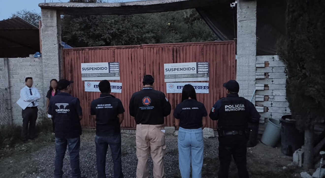 Municipio de Querétaro suspende pensión de perros por irregularidades; asegura a 28 ejemplares